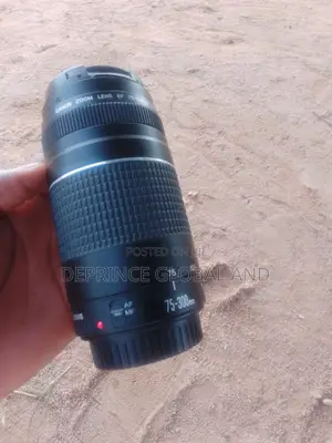 Canon Zoom Lens EF 75-300mn 1:4-5.6 III