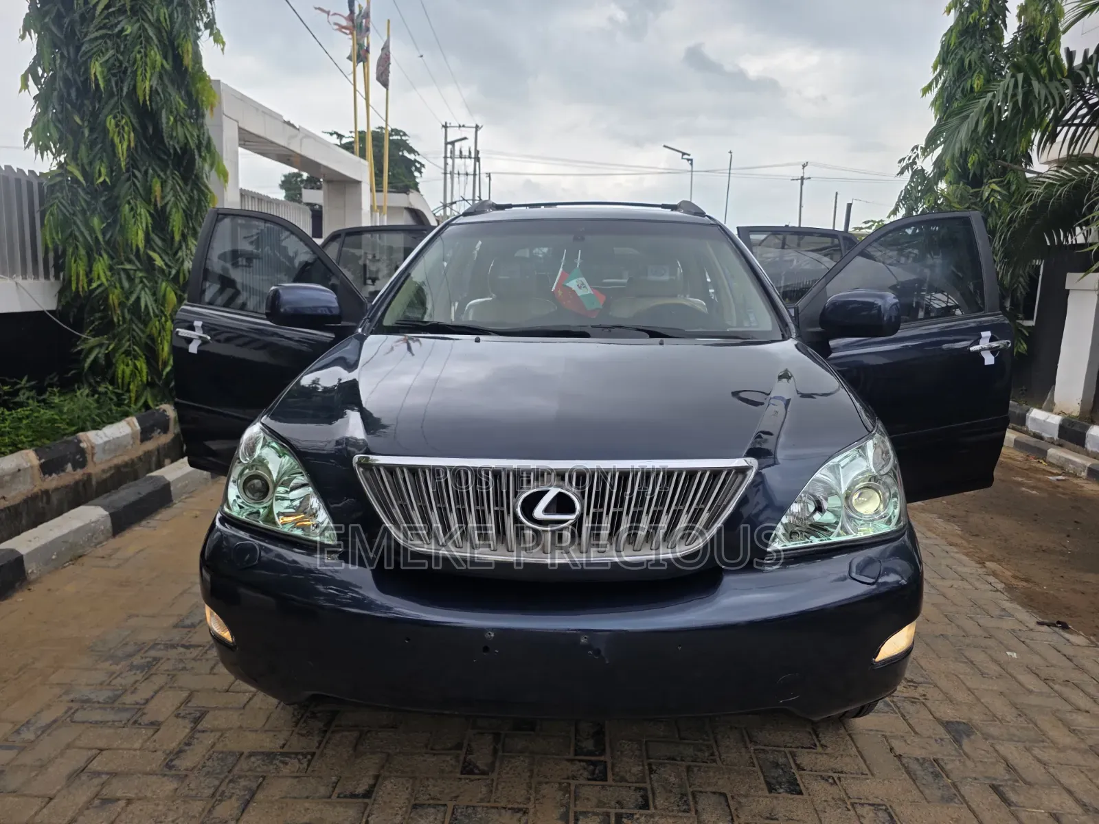 Lexus RX 2003 Blue