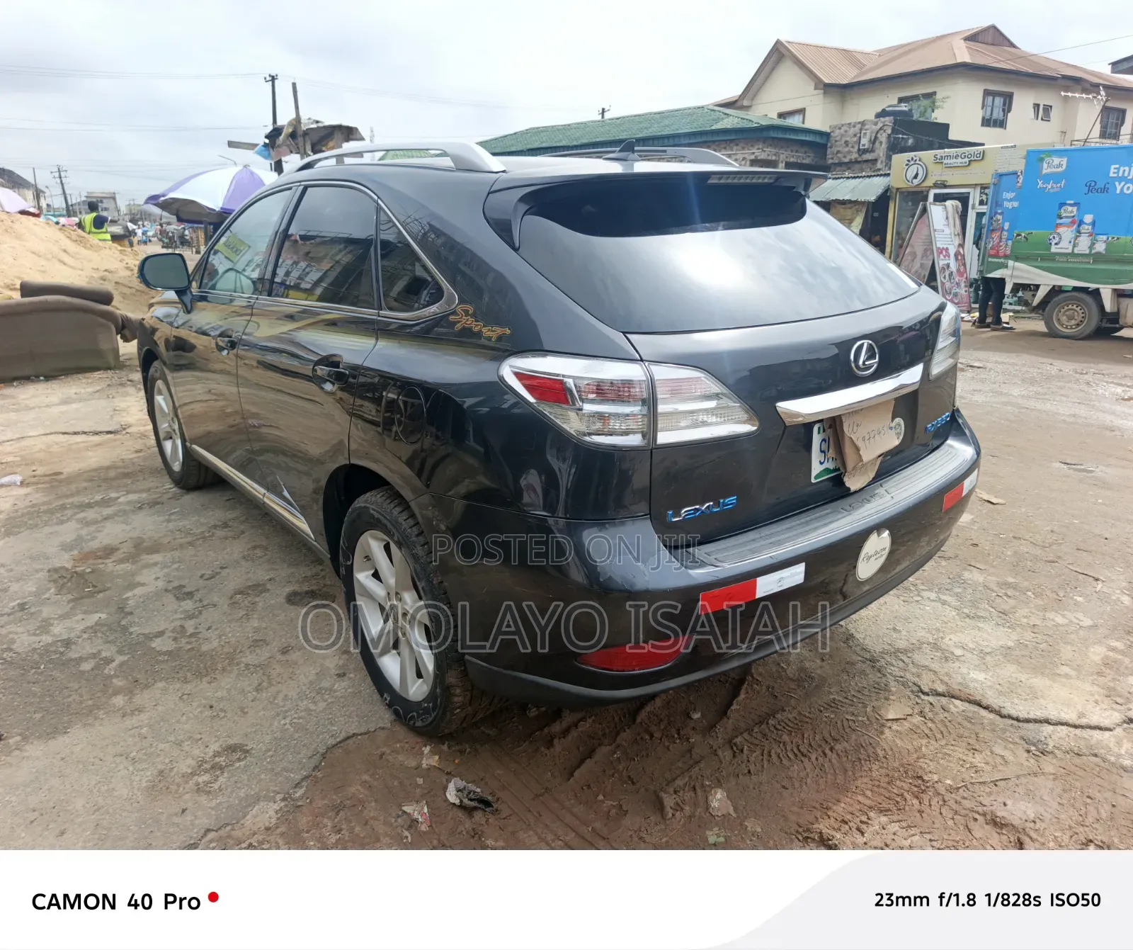 Lexus RX 2010 Blue