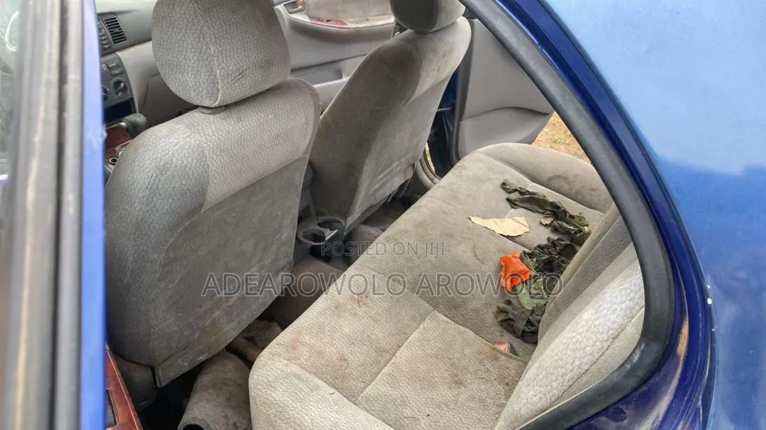 Toyota Corolla 2004 Blue