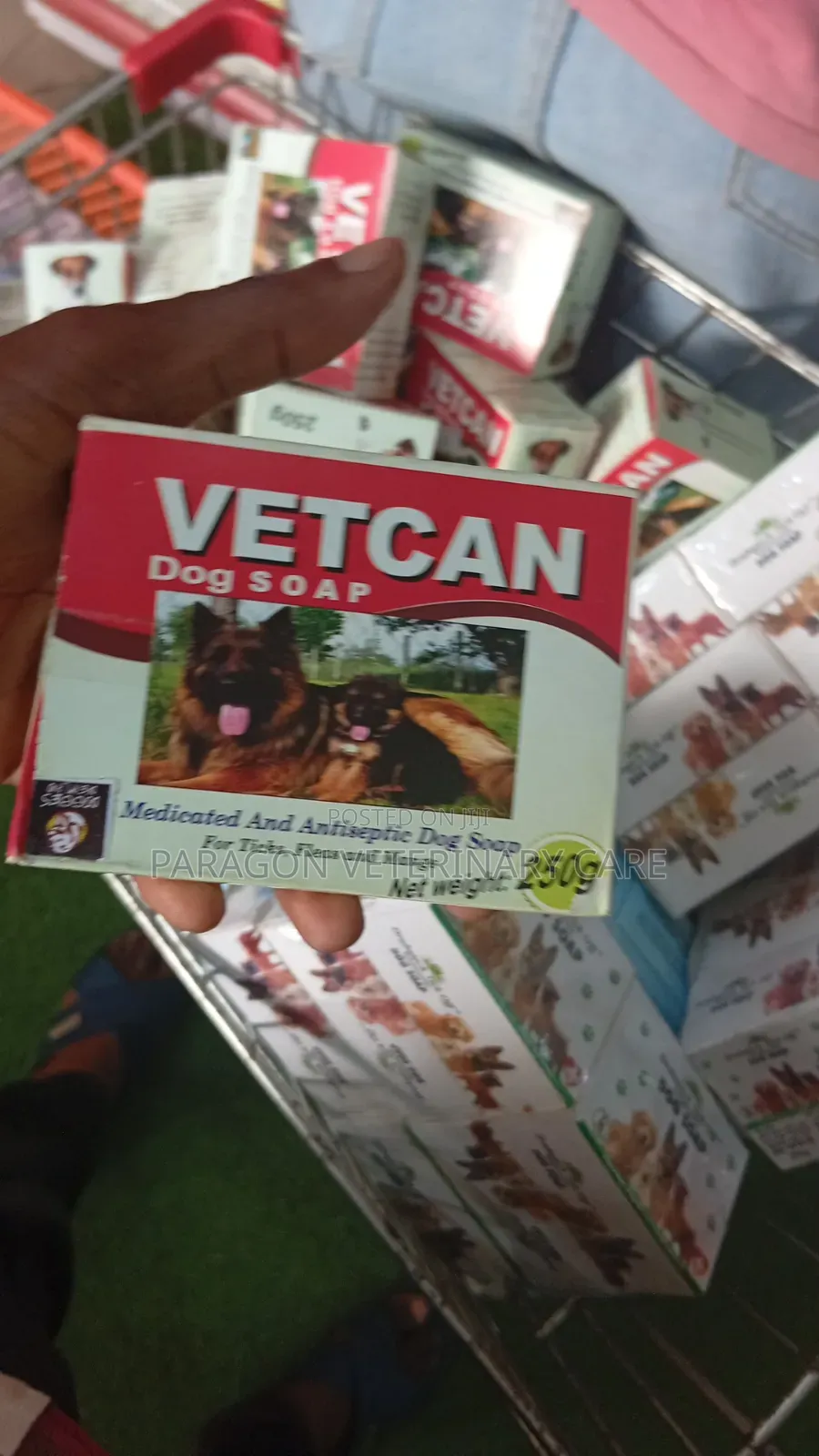 Veterinary Doctor