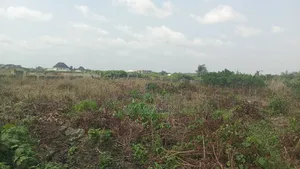 I Want to Sell a Half Plot