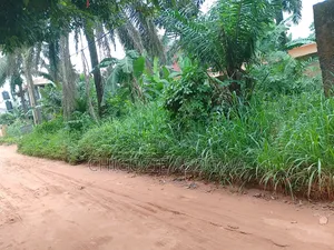 Half Plots for Sale