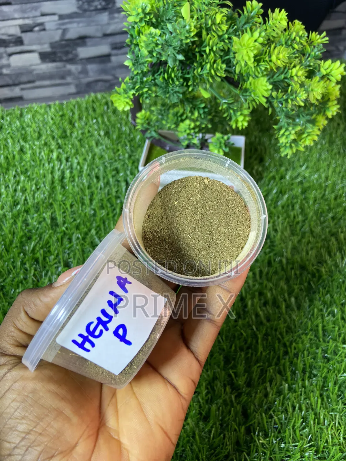 Organic Seeds