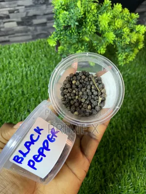 Organic Seeds