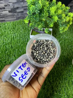 Organic Seeds