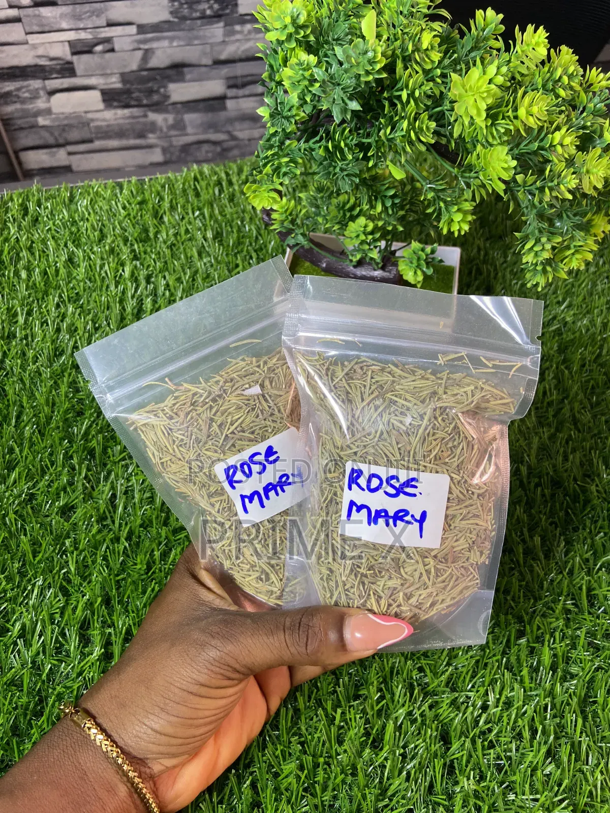 Organic Seeds