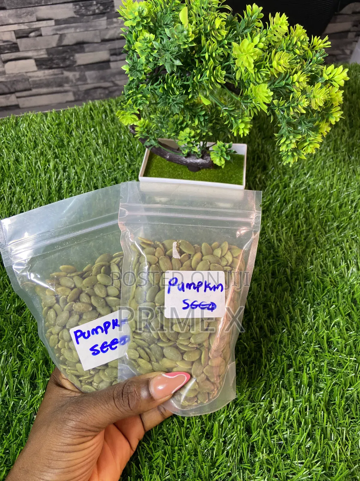 Organic Seeds