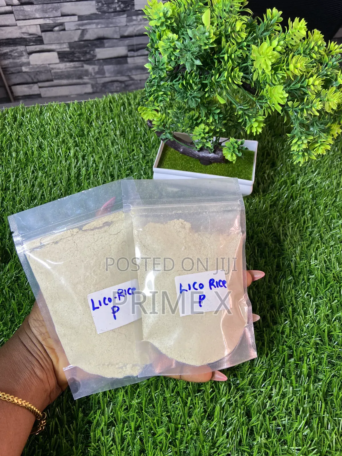 Organic Seeds
