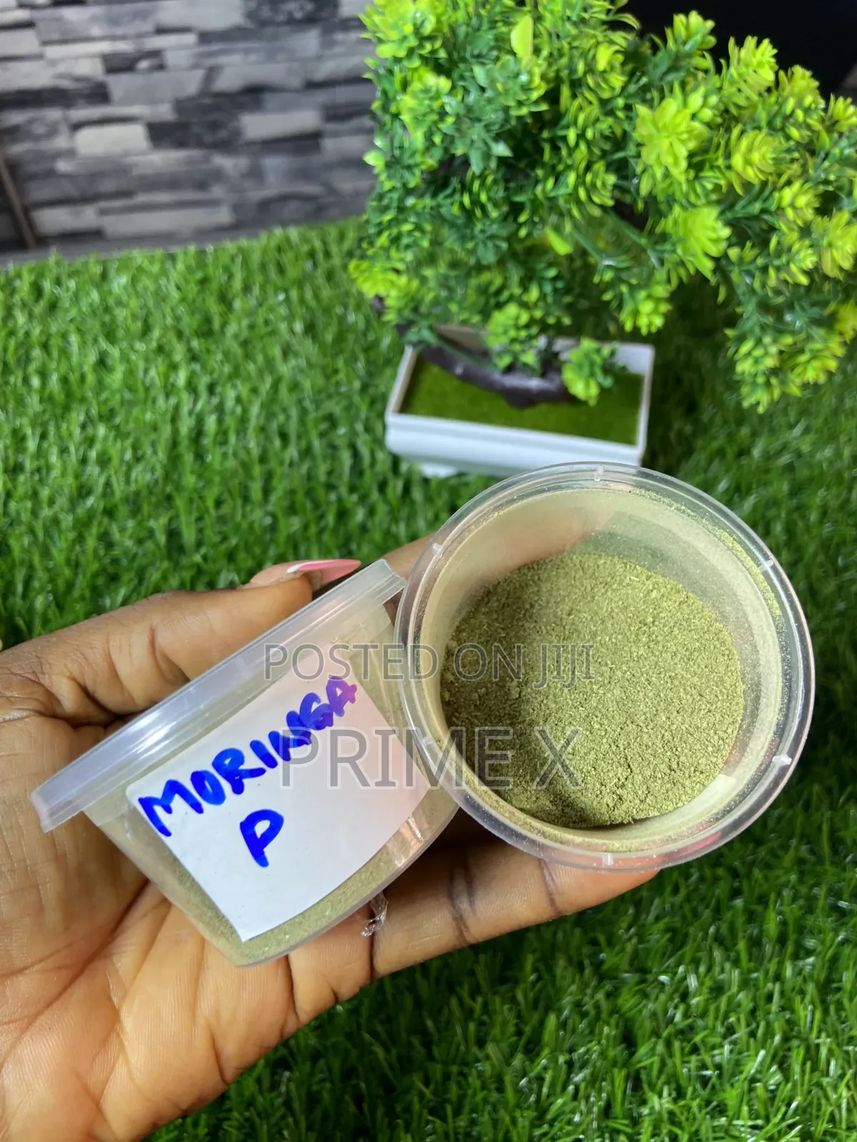 Organic Seeds