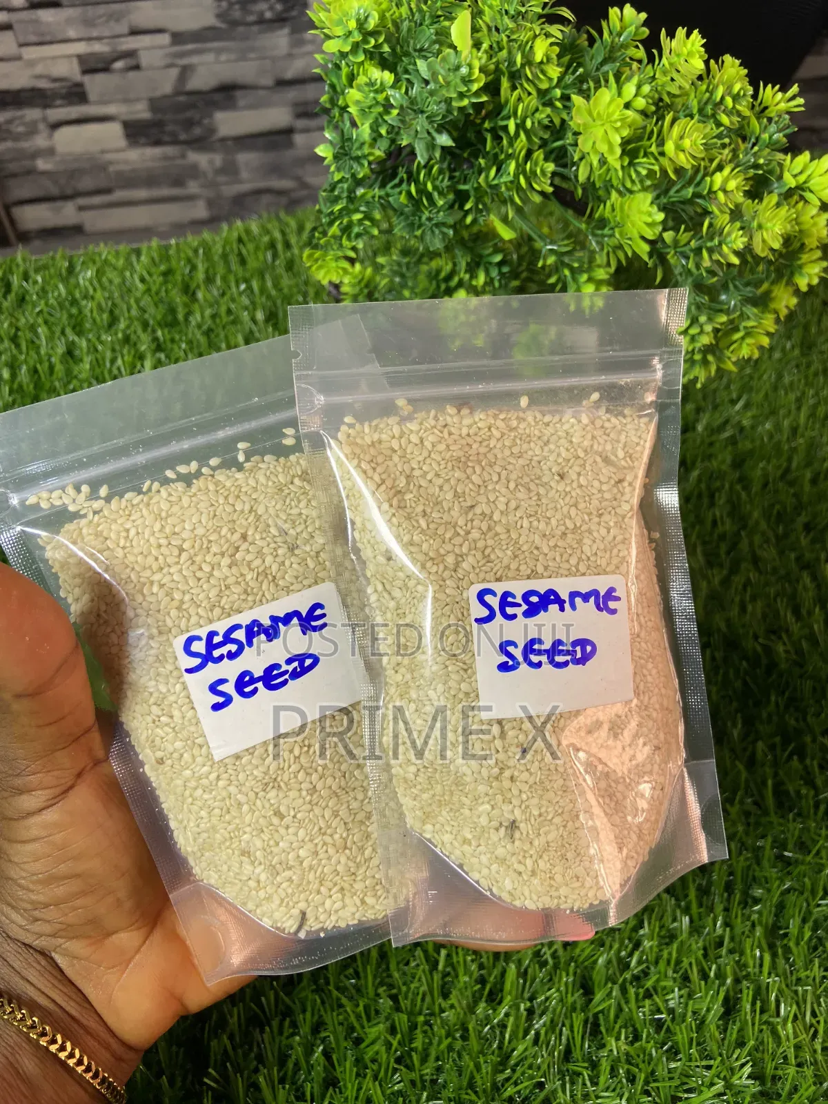 Organic Seeds