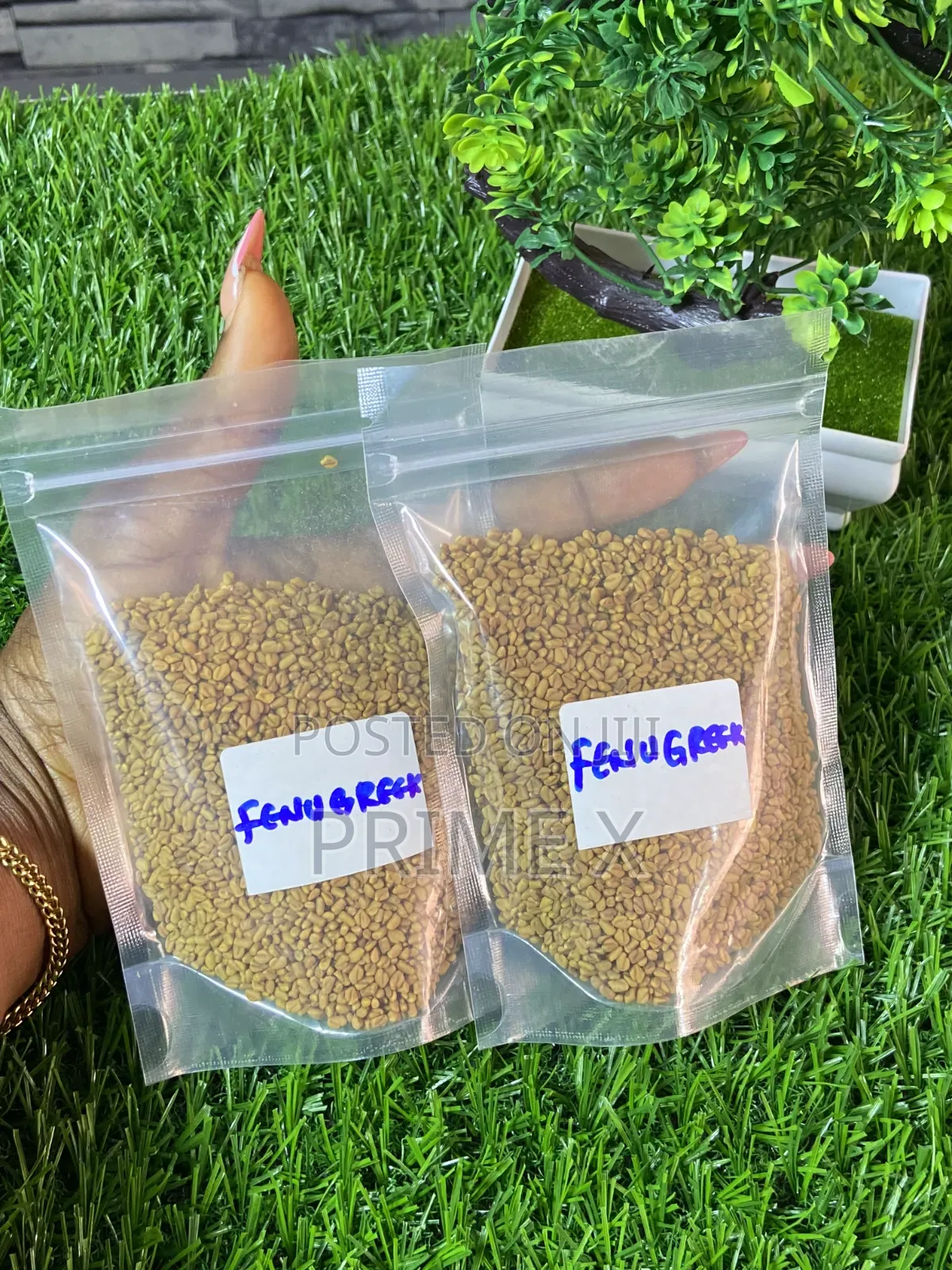 Organic Seeds