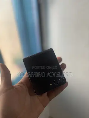 Samsung Galaxy Z Flip 5 256 GB Gray