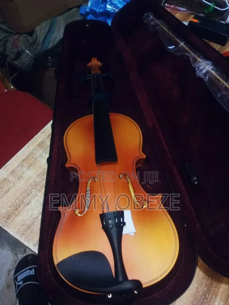 Violin of All Sizes