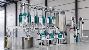 GRIZ CONTROLS Corn Flour Milling Plant