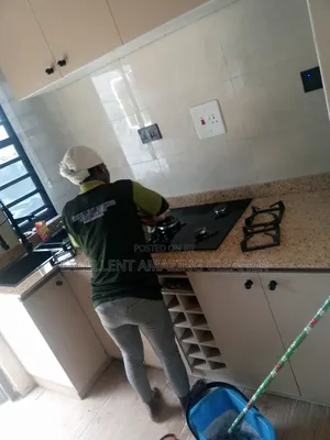 Renovation Cleaning