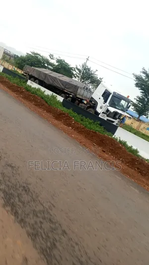 Dangote and Bua Cement Dealer