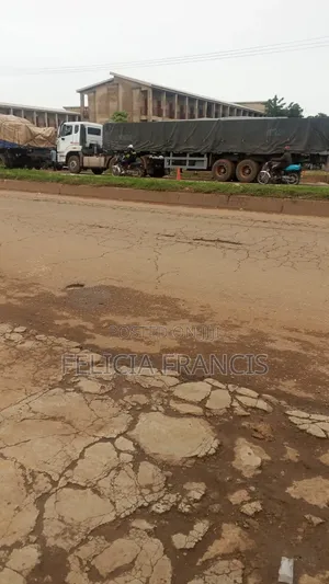 Dangote Cement Supplier