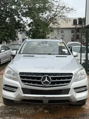 Mercedes-Benz M Class 2015 Gray