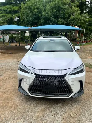Lexus NX 2024 White