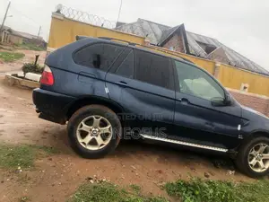 BMW X5 2005 Blue