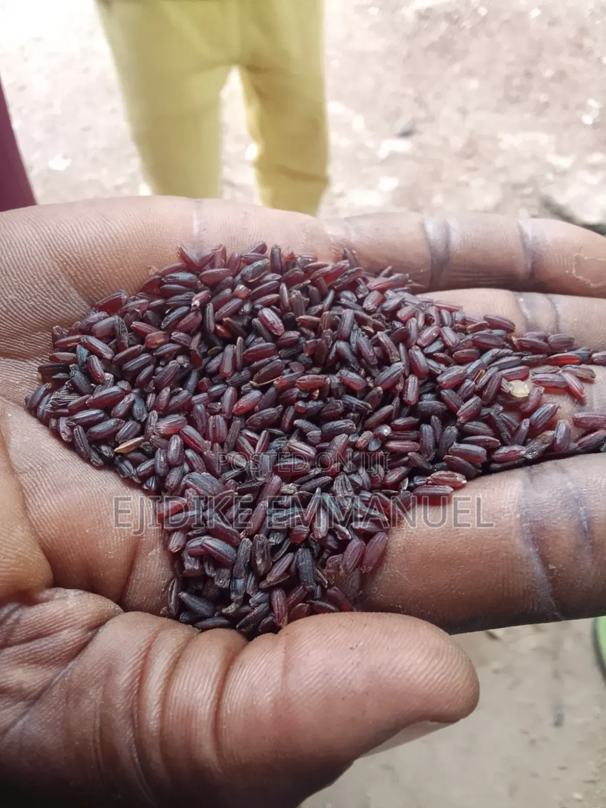 Brown Rice