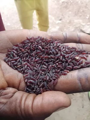 Brown Rice