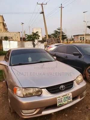 Toyota Corolla 2002 Gray