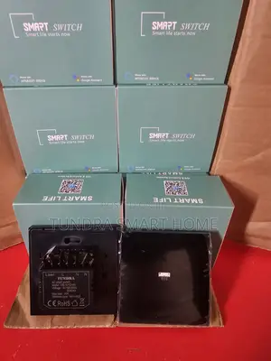Tundra 40amps AC Smart Wifi Switches