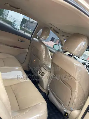 Lexus ES 350 2008 Brown