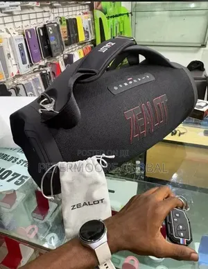 High-Power Portable Sound System With Long Battery Life