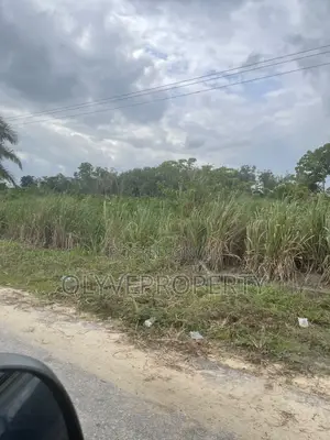 Beautiful Plots of Land for Sale Behind Admiralty Hotel Ibusa Delta