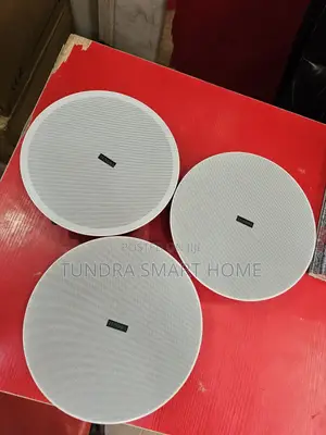 Tundra 3in1 Bluetooth Ceiling Speaker Sound System