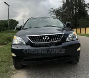 Lexus RX 350 4x4 2009 Gray