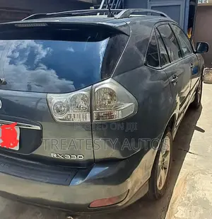 Lexus RX 330 2005 Gray