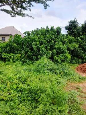Standard Full Plot of Land for Sale at Alaaka Araromi Apete Ibadan