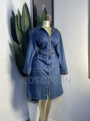 Quality Denim Dress