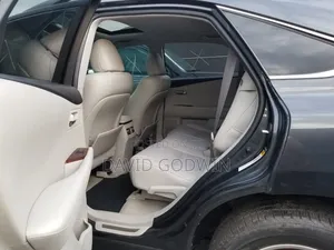 Lexus RX 2010 Gray