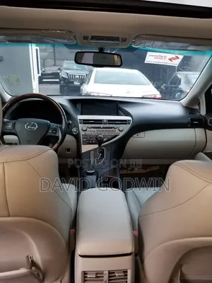 Lexus RX 2010 Gray