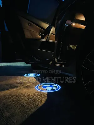 Shadow Door Logo Light.