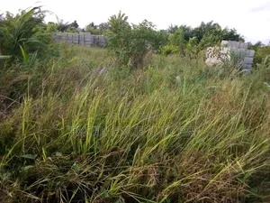 4 Plot of Bare Land in Badagry Age Momo,mowo Bus Stop
