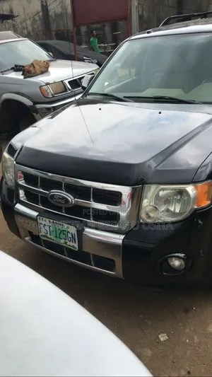 Ford Escape 2010 Black