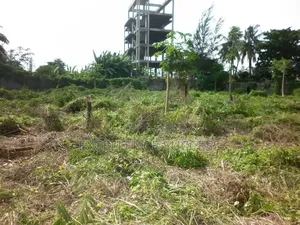 Bare Land of 3944 SQM at the Back of Alagbon Old Ikoyi Lagos