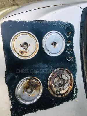 Gas Cooker Technician