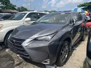 Lexus NX 300 AWD 2018 Gray