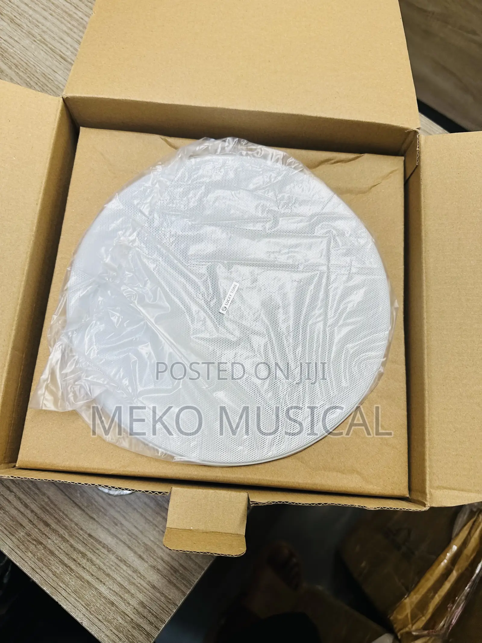 Ceiling Speaker 
