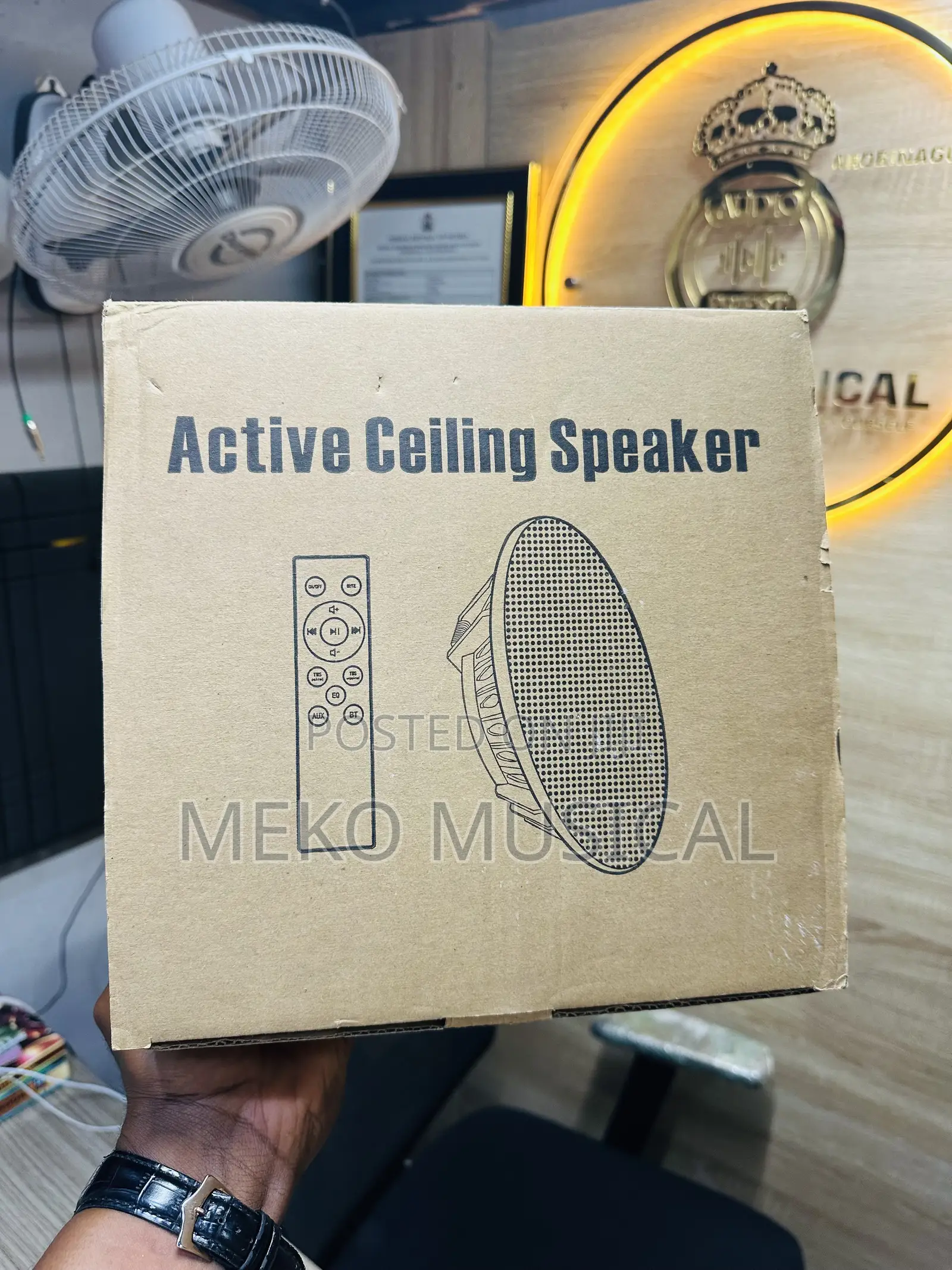 Active Ceiling Speaker