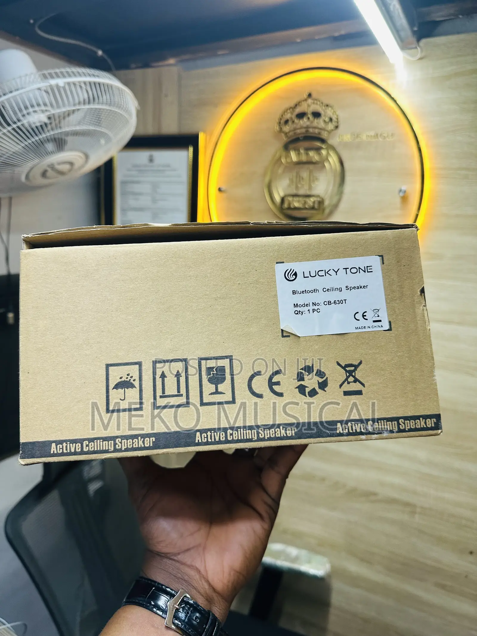 Active Ceiling Speaker