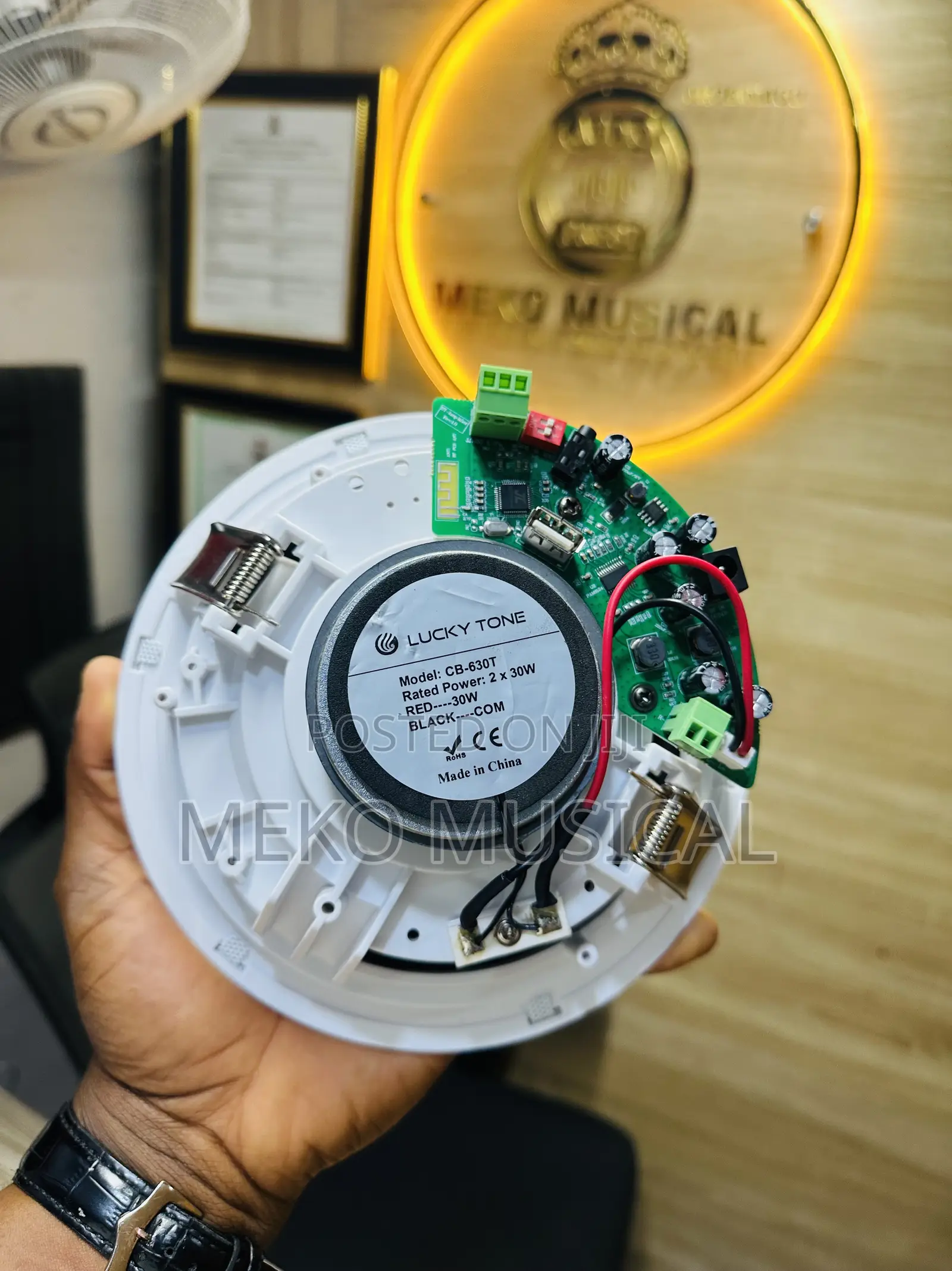 Active Ceiling Speaker