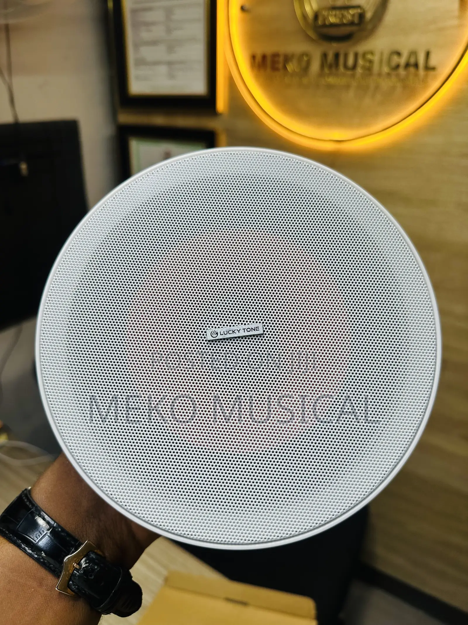Active Ceiling Speaker